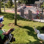 Summer camp at the Playgarden